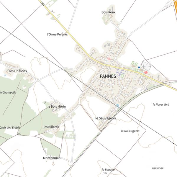 Plan cartographique de Domaine de Saint Maurice sur Fessard (Pannes)