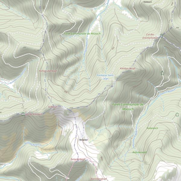Plan cartographique de Dorfbach