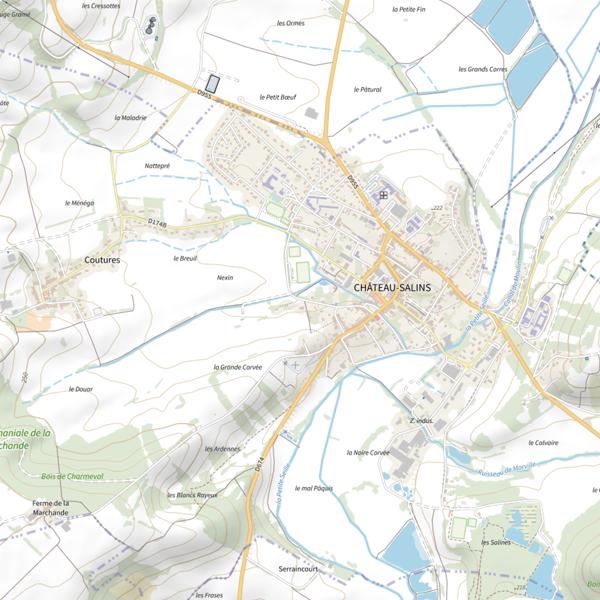 Plan cartographique de Étang Bagard