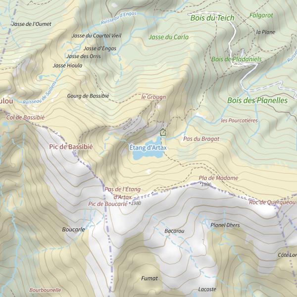 Plan cartographique de Étang d'Artax