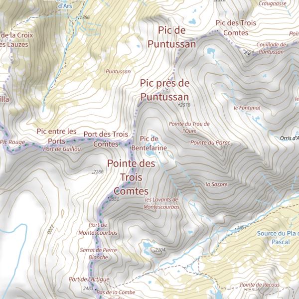Plan cartographique de Étang de Bentefarine