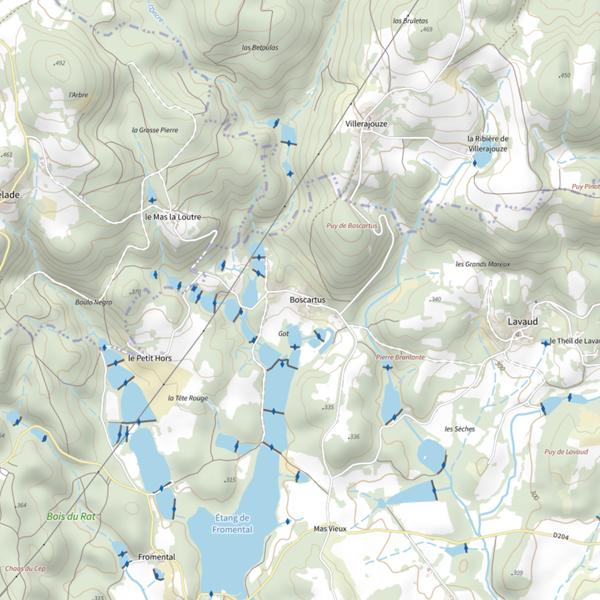 Plan cartographique de Étang de Boscartus