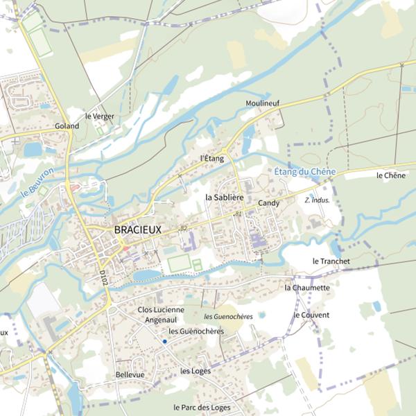 Plan cartographique de Étang de Bracieux