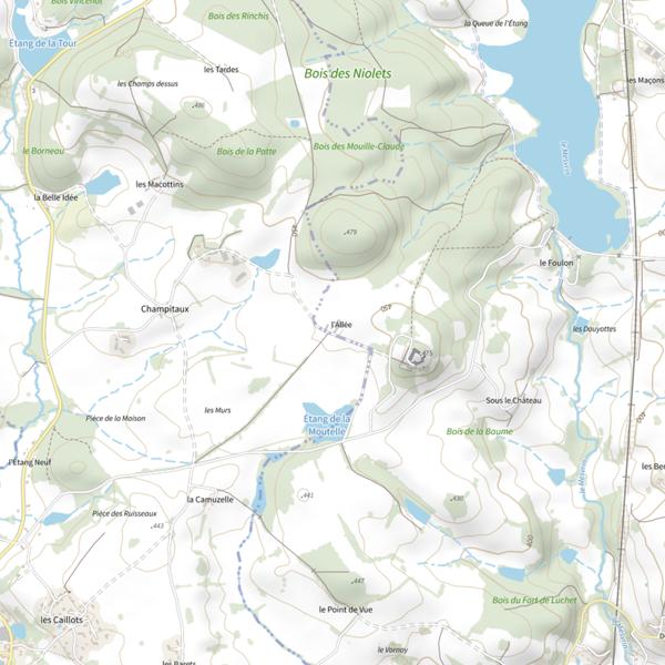 Plan cartographique de Étang de Brandon