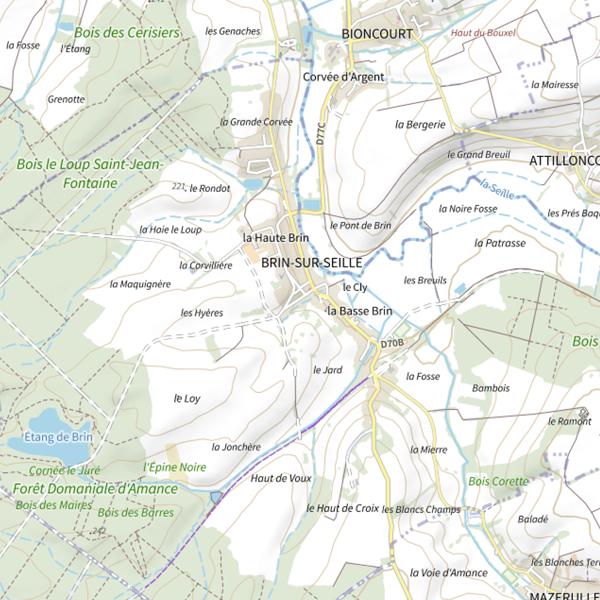 Plan cartographique de Étang de Brin