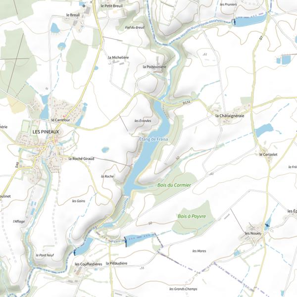 Plan cartographique de Étang de Fraisa