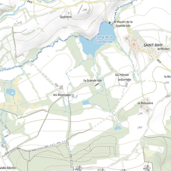 Plan cartographique de Étang de Grande Isle