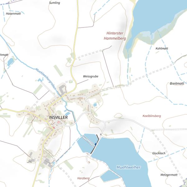 Plan cartographique de Étang de Insviller