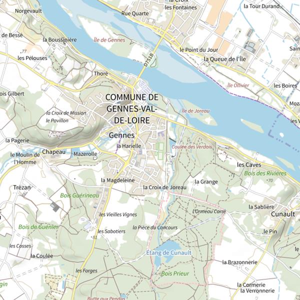 Plan cartographique de Étang de Joreau