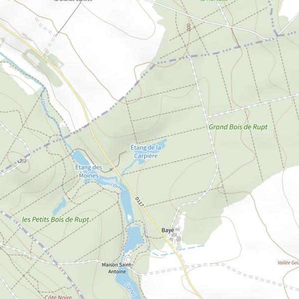 Plan cartographique de Étang de la Carpière