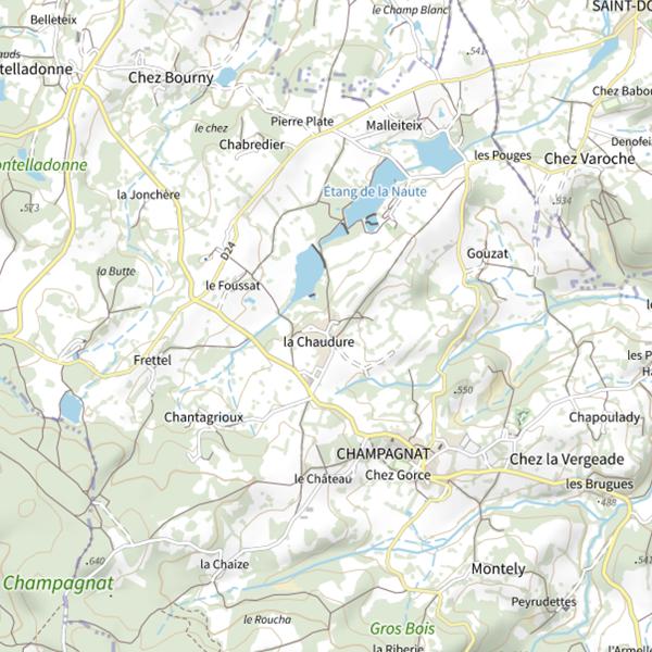 Plan cartographique de Étang de La Naute