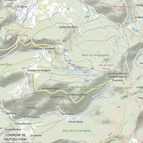 Plan cartographique de Étang de la Plaine (Haut-du-Them-Château-Lambert)