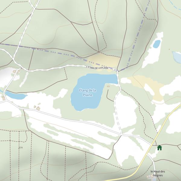 Plan cartographique de Étang de la Plaine (Saint-Nabord)