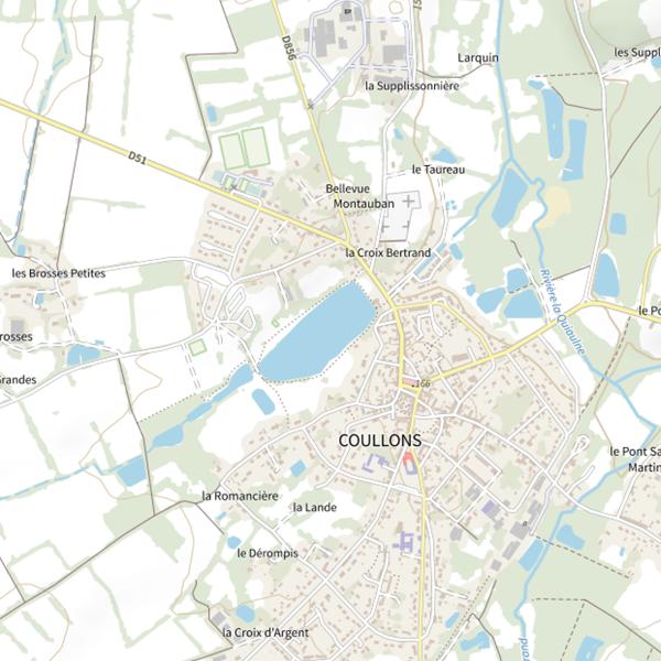 Plan cartographique de Étang de la Plancherotte (Coullons)