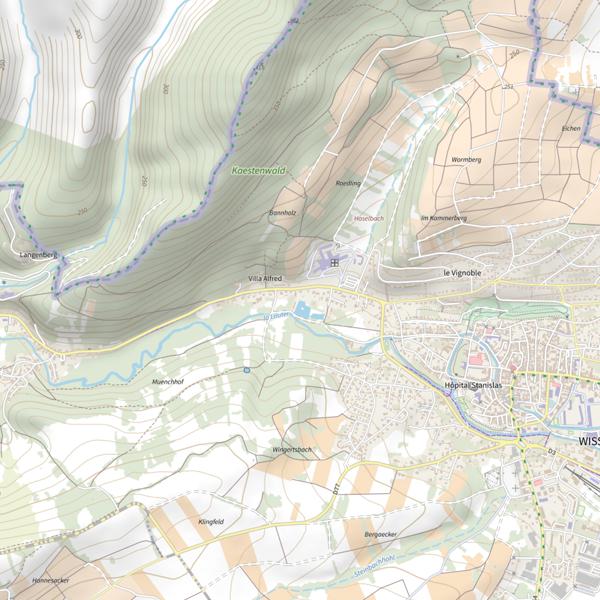 Plan cartographique de Étang de la Walk