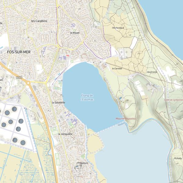 Plan cartographique de Étang de l'Estomac