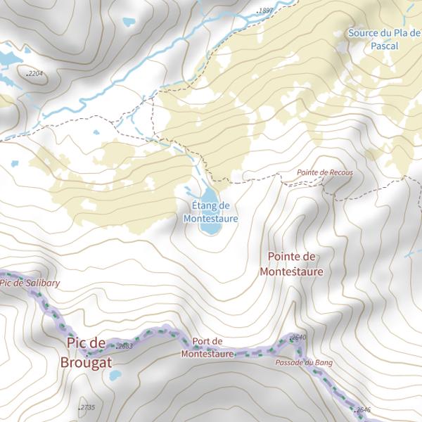 Plan cartographique de Étang de Montestaure