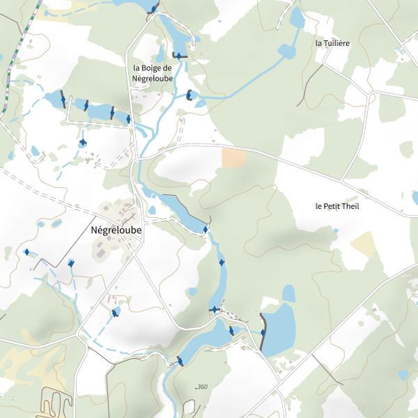 Plan cartographique de Étang de Negreloube