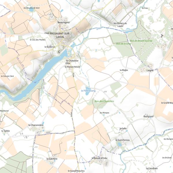 Plan cartographique de Étang de Passavant sur Layon