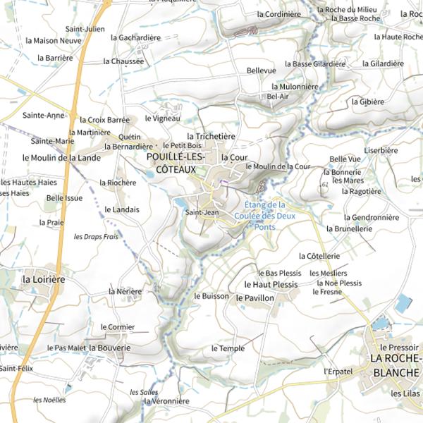 Plan cartographique de Étang de Pouillé-les-Coteaux