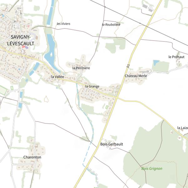 Plan cartographique de Étang de Savigny-Lévescault