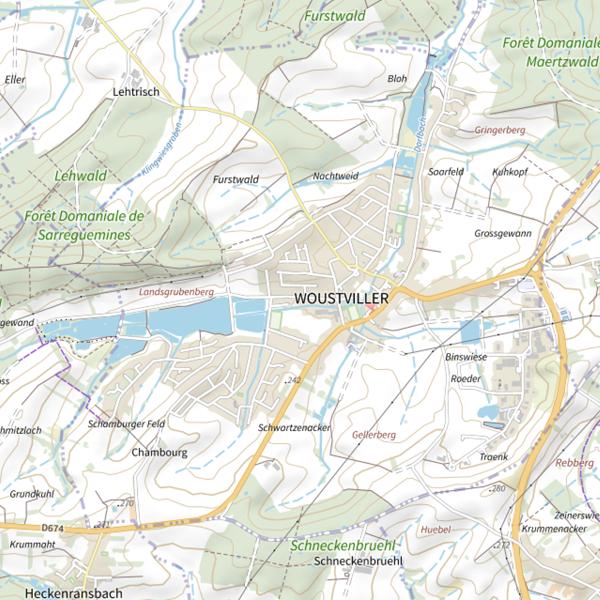 Plan cartographique de Étang de Woustviller
