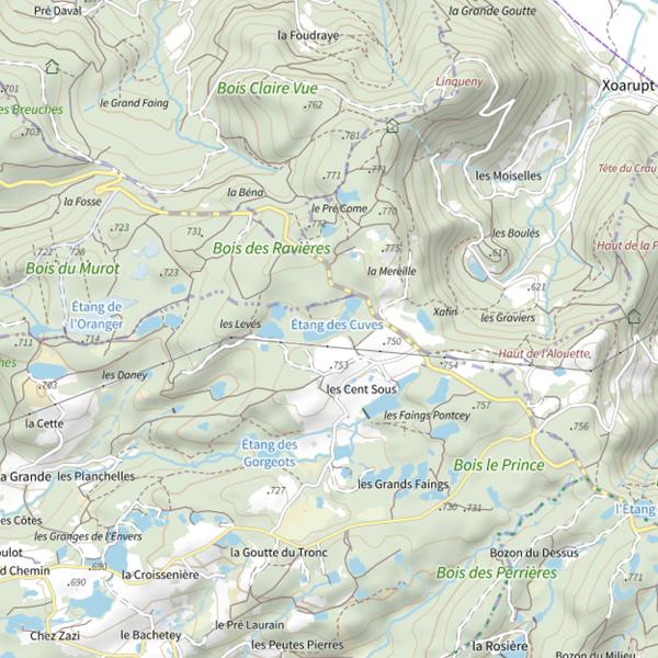 Plan cartographique de Étang des Cuves