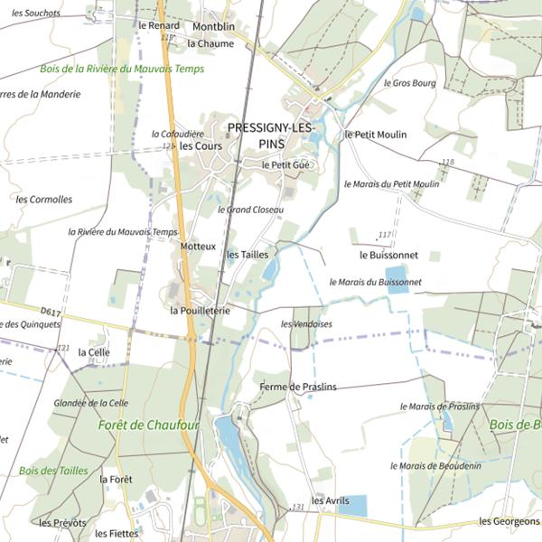 Plan cartographique de Étang des Tailles (Pressigny-les-Pins)