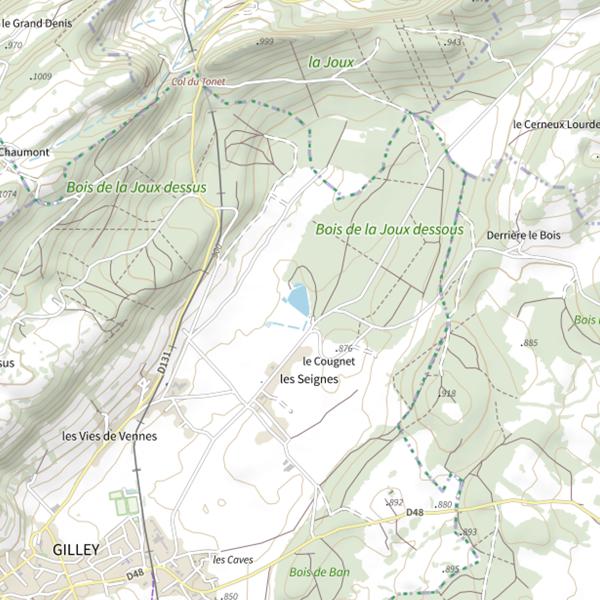 Plan cartographique de Étang du Cougnet