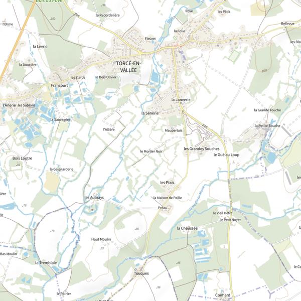 Plan cartographique de Étang du Mortier Noir (Torcé-en-Vallée)