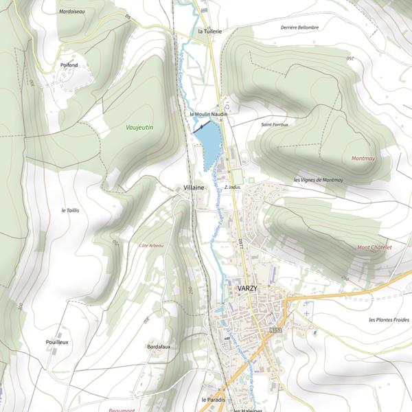 Plan cartographique de Étang du Moulin Naudin