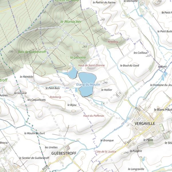 Plan cartographique de Étang du Moulin (Vergaville)