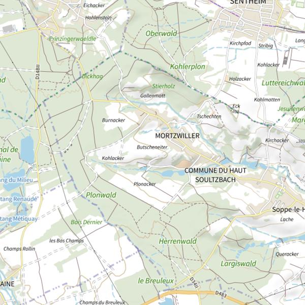 Plan cartographique de Étang du vieux Moulin (Le Haut Soultzbach)