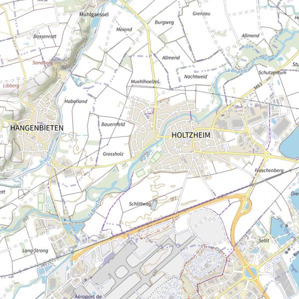 Plan cartographique de Étang du Zich