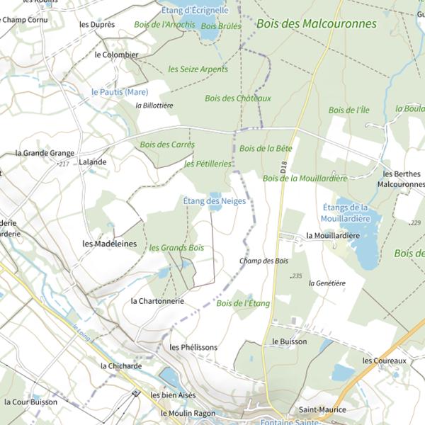 Plan cartographique de Étang Lelu