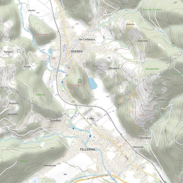 Plan cartographique de Étang Maerel