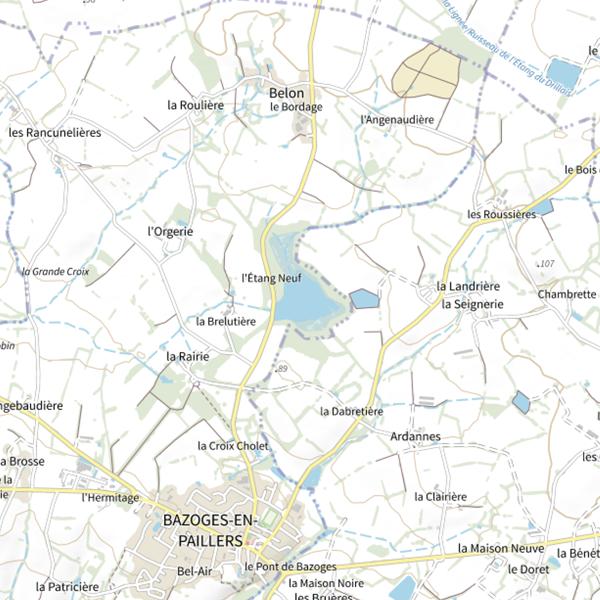 Plan cartographique de Étang Neuf (Bazoges-en-Paillers)