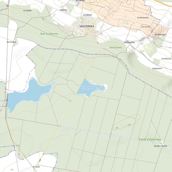 Plan cartographique de Étang Neuf (Épernay)