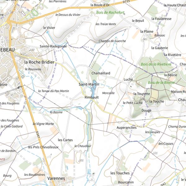 Plan cartographique de Étang Saint-Martin