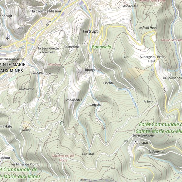 Plan cartographique de Fertrupt