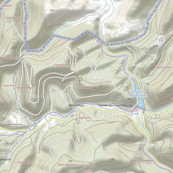 Plan cartographique de Fuchsberg