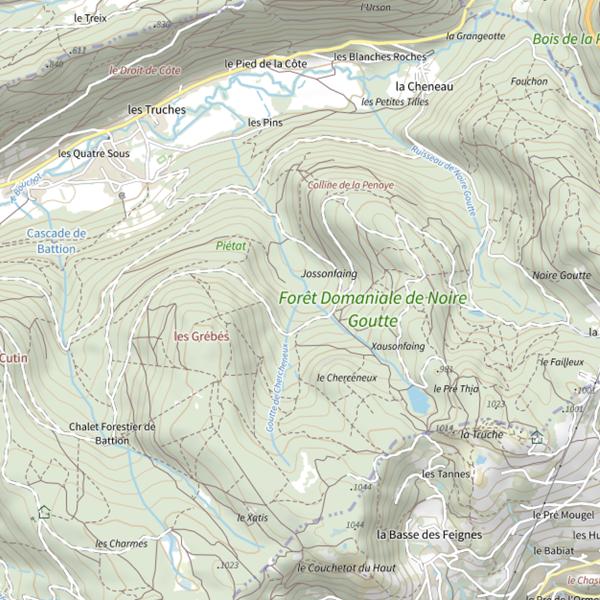 Plan cartographique de Goutte de Jossonfaing