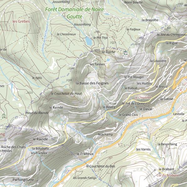 Plan cartographique de Goutte de Reucy