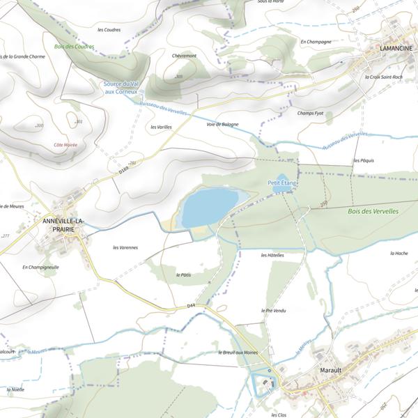 Plan cartographique de Grand Étang d'Anneville (Annéville-la-Prairie)