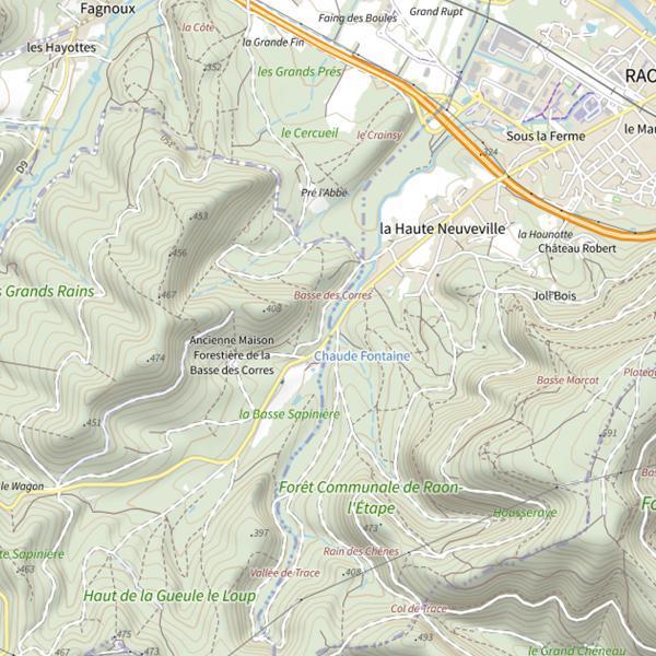 Plan cartographique de Grand Faing de Laneuveville