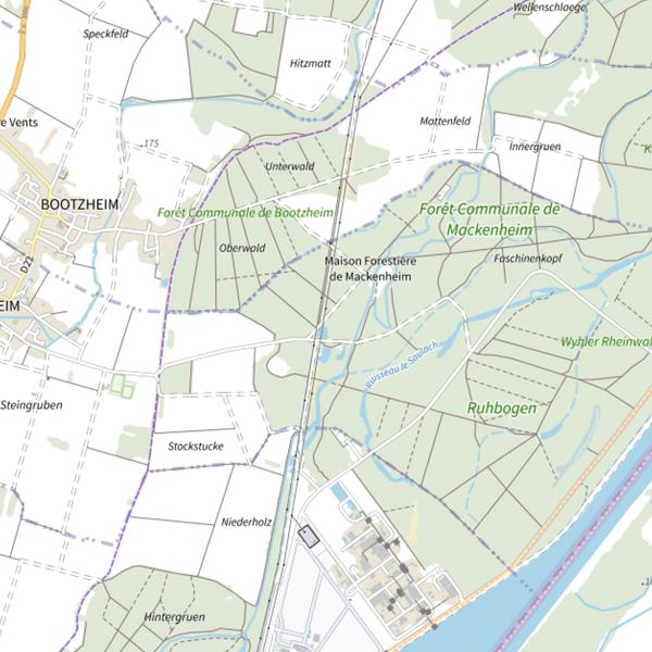 Plan cartographique de Gravière de la forêt communale