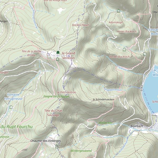 Plan cartographique de Heidelbeerenloch
