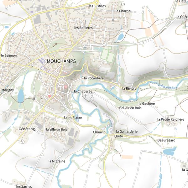 Plan cartographique de La Chaussée de Mouchamps, le Petit Lay