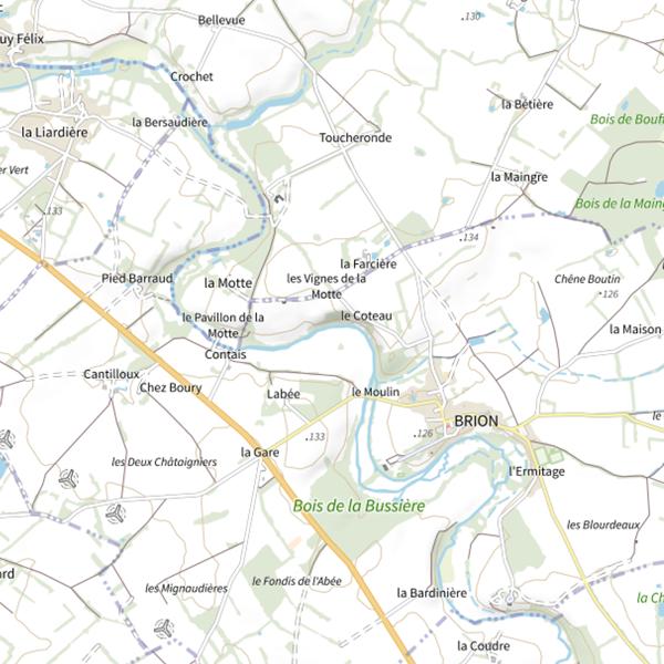 Plan cartographique de La Clouere à Brion