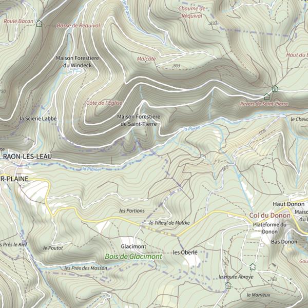Plan cartographique de La Plaine (Vosges)